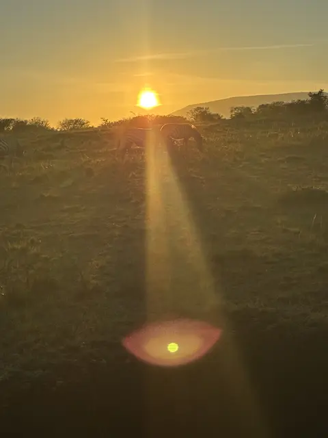 Sonnenaufgang in der Masai Mara | Foto: Sebastian Sturz