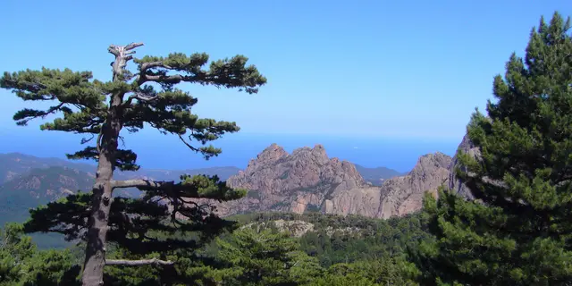 Eindrucksvolle Berglandschaften und traumhafte Strände. Das zeichnet Korsika aus. 