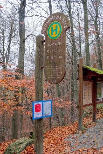von Bad Harzburg aus existiert eine Buslinie mit den Haltestellen  Luchsgelege und Molkenhaus. 