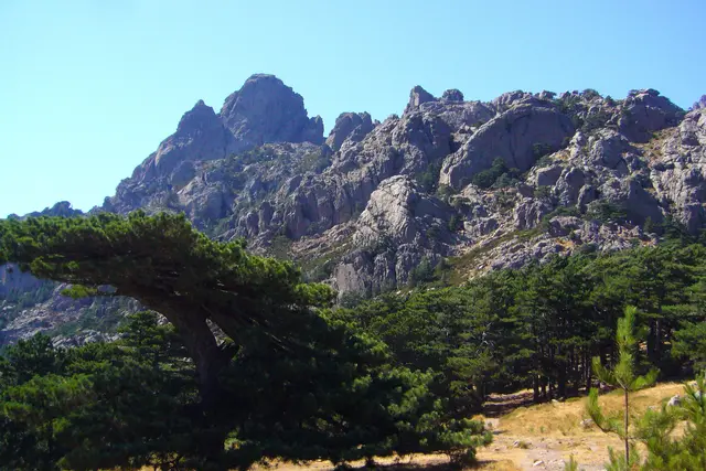 Und wer Lust zum Klettern hat, kann sich an den Felsen ausprobieren.