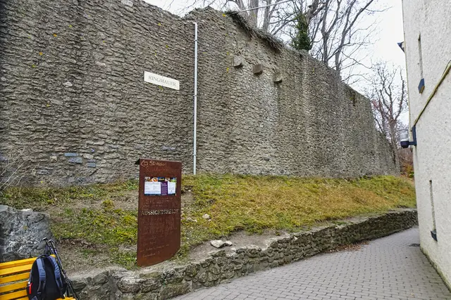 die Ringmauer  der Harzburg ist schon beeindruckend 
