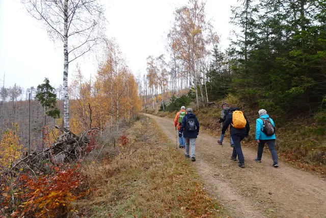 auf dem herbstlichen Kaiserweg