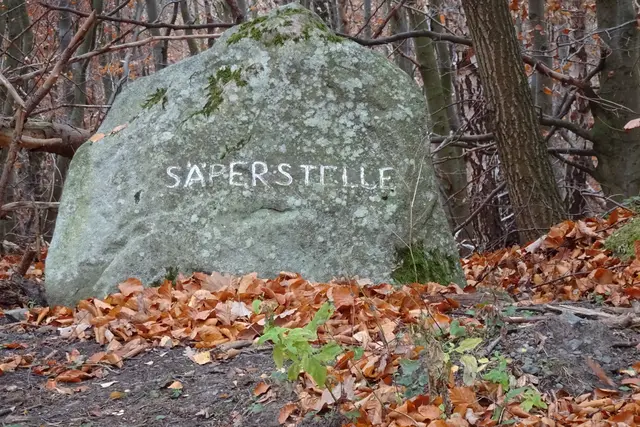 An der Säperstelle  wurde die Baumrinde von den Bäumen abgeschält. Die entsprechende Säperstelle bei Ilsenburg heißt Pisseckenplatz.