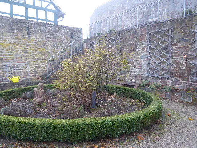 Rosengarten 2025-46, 16.11.2025.