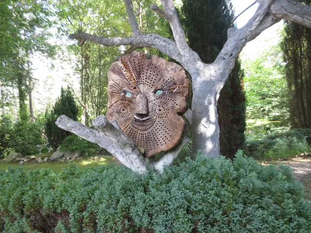 Die Baumscheibe soll auf alles achten, oder sind die Löcher für Insekten.