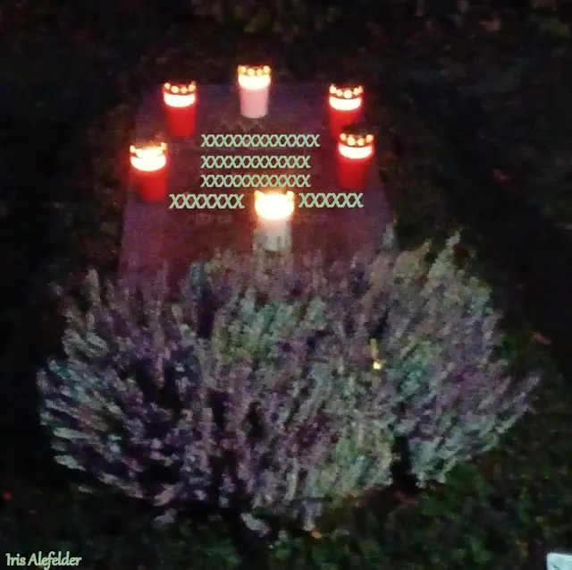 Foto: Iris Alefelder