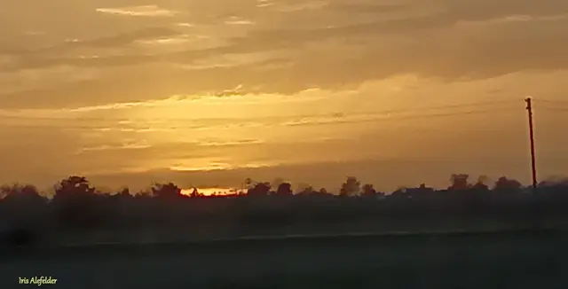 Foto: Iris Alefelder