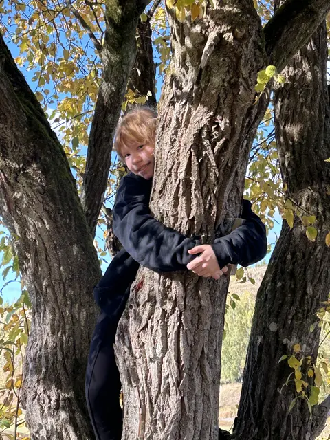 Manchmal muss man auf einen Baum klettern, um einen Cache zu finden:).