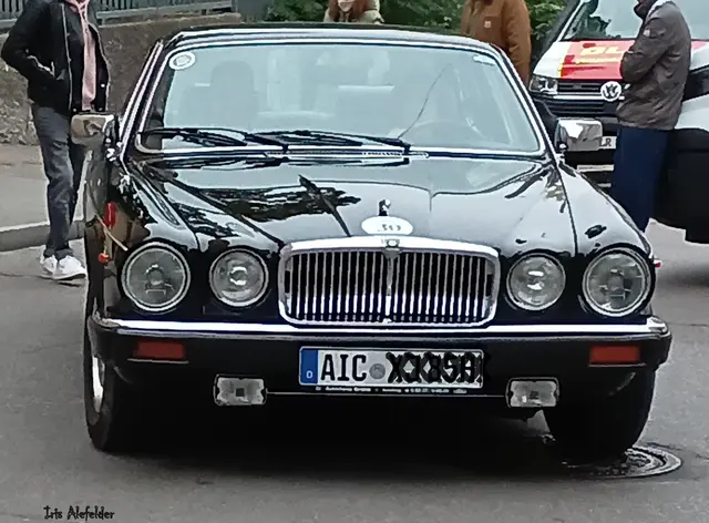 Jaguar | Foto: Iris Alefelder