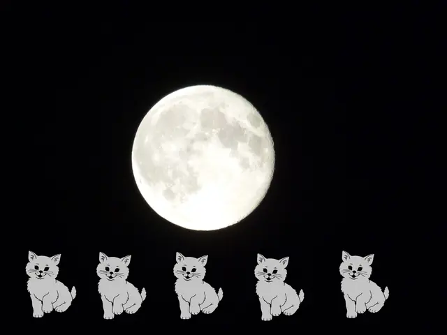 Clipart ( Ausmalbild ): animaatjes