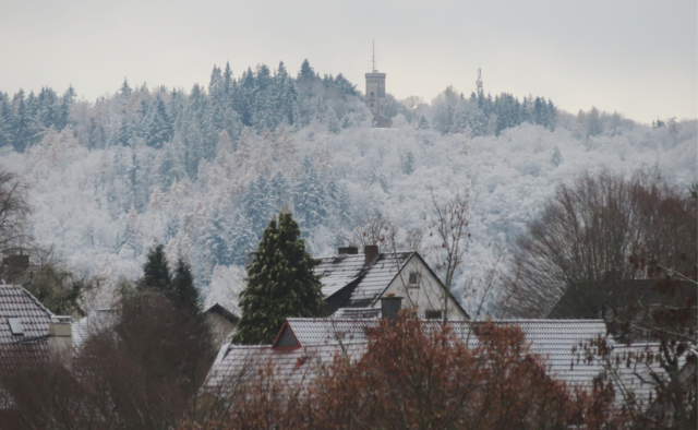 Ausschnitt aus dem Original-Foto. | Foto: M. A.