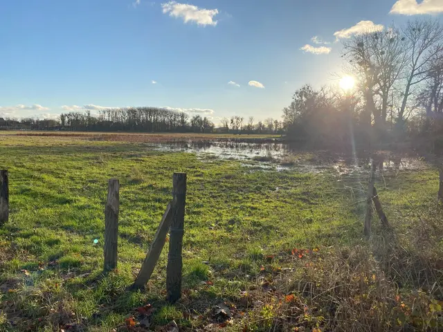Unser kleiner Bibersee