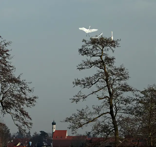 Doch leider machen sie sich immer schnell auf und davon