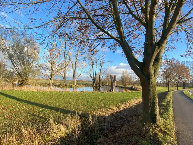 Wieder zurück am Koldinger Mühlenbach
