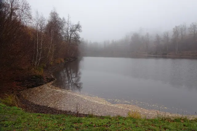Fürstenteich bei Nebel