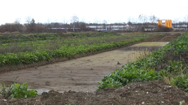 Die Arbeiten und die Planung für die Erweiterung des Gewerbegebietes sind bereits angelaufen. | Foto: Peter Heider