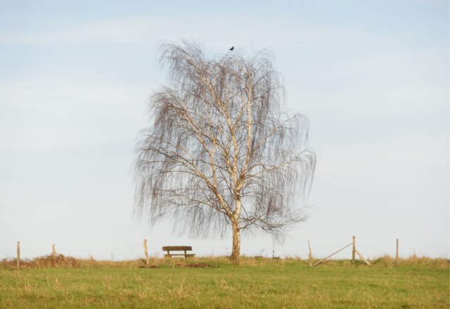 Dieses Foto habe ich ebenfalls am 23.11.2015 gemacht, als meine älteste Tochter und ich uns auf dem Heimweg befanden. | Foto: M. A.