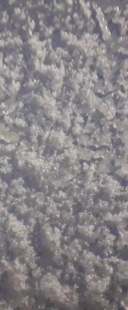 Foto: Iris Alefelder