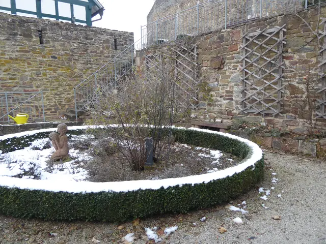 Rosengarten 2025-47, 23.11.2025.