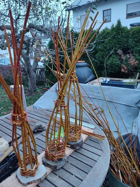 Selbst gemacht Meisenknödelhalter aus Weidenzweigen | Foto: Foto Claudia Wegele