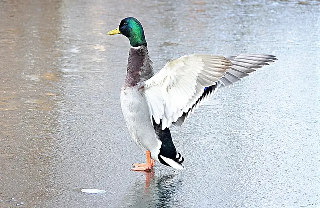 Und werden sofort übermütig!