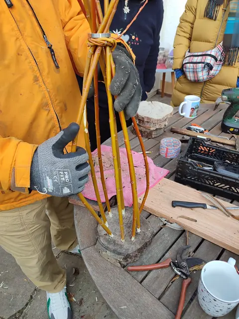 biegsame Zweige von Weiden | Foto: Foto Claudia Wegele