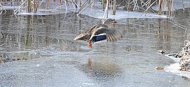 Brüchige Zonen lassen sich per Kurzstreckenflug überwinden