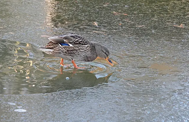 Die prüft die Tragfähigkeit von allen Seiten