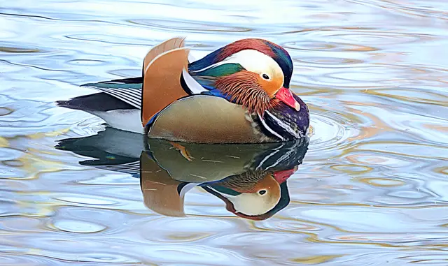 Mein liebstes Fotomodell seit 3 Jahren: "Mandy" im Schmutterpark