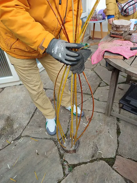 biegsame Zweige von Weiden | Foto: Foto Claudia Wegele