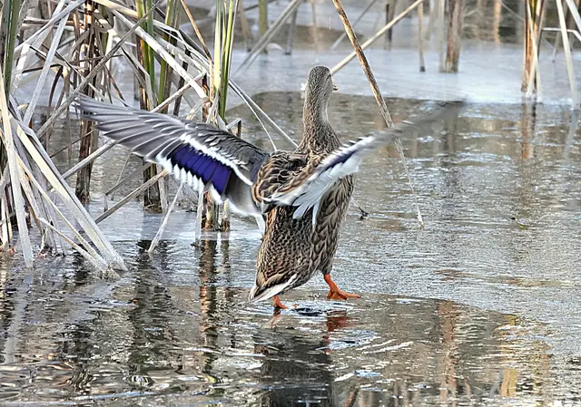 ... und zeigt an, daß alles in Ordnung ist!