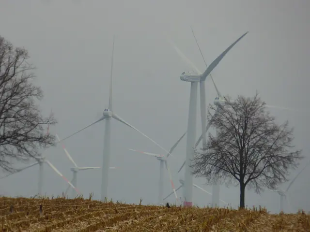 Unsere Stromversorger