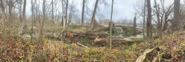 Panoramabild vom Fuchsbach