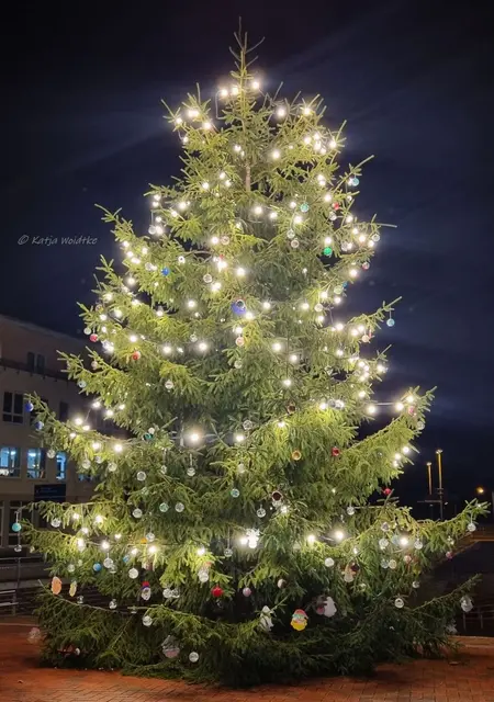 Adventszauber in Kaltenweide (Foto: Katja Woidtke)

Es ist "angeleuchtet" | Foto: Katja Woidtke