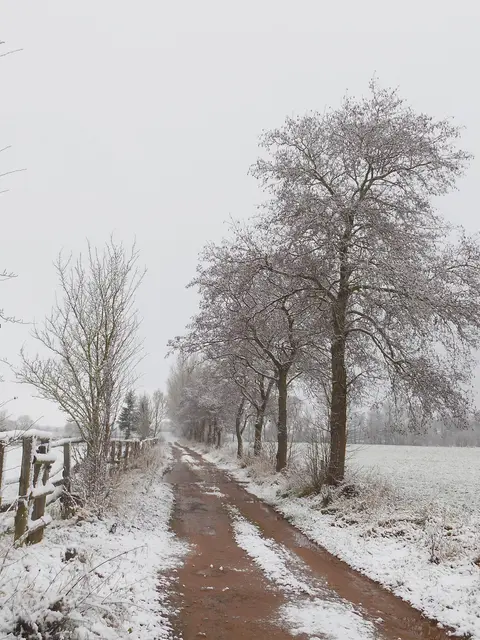 Original-Foto vom 01.12.2017 bei "Am Ellerbruch" bei Korbach. | Foto: M. A.