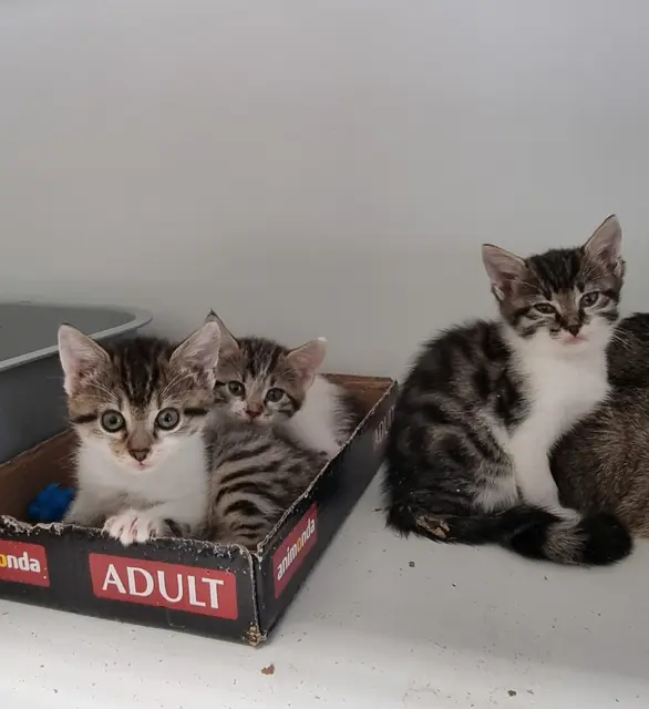 Dödel, Dussel und Dickkopf | Foto: Sabine Pollok