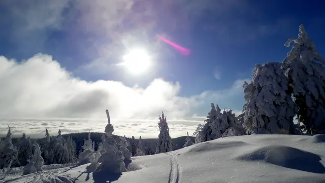 Dann muss es unbedingt an die frische Luft gehen. Vielleicht bei einem Spaziergang, vielleicht hinterlässst man auf Brettern seine Spuren im Schnee. | Foto: Kurt Wolter