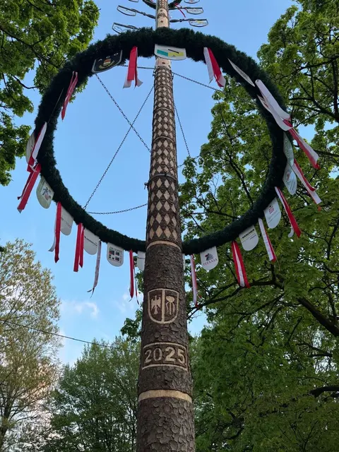 Maibaum 2025 | Foto: Aktionsgemeinschaft Neusäß
