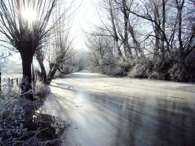 Zu dieser Jahreszeit wirft die tiefstehende Sonne lange Schatten.  | Foto: Kurt Wolter