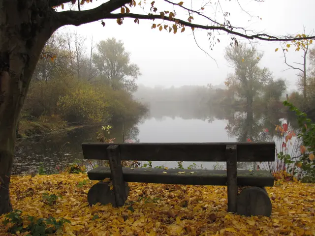 Aber auch an grauen Novembertagen sollte man rausgehen. Auch dann tankt der Körper, im Gegensatz zur künstlichen Beleuchtung, noch Licht und Vitamine. | Foto: Kurt Wolter