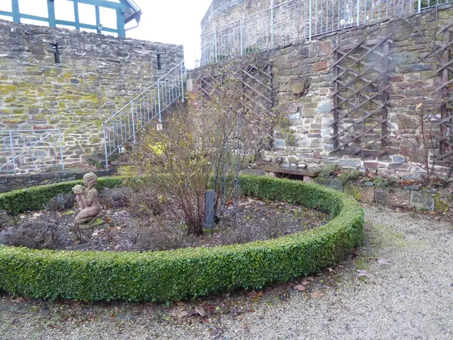 Rosengarten 2025-48, 30.11.2025.