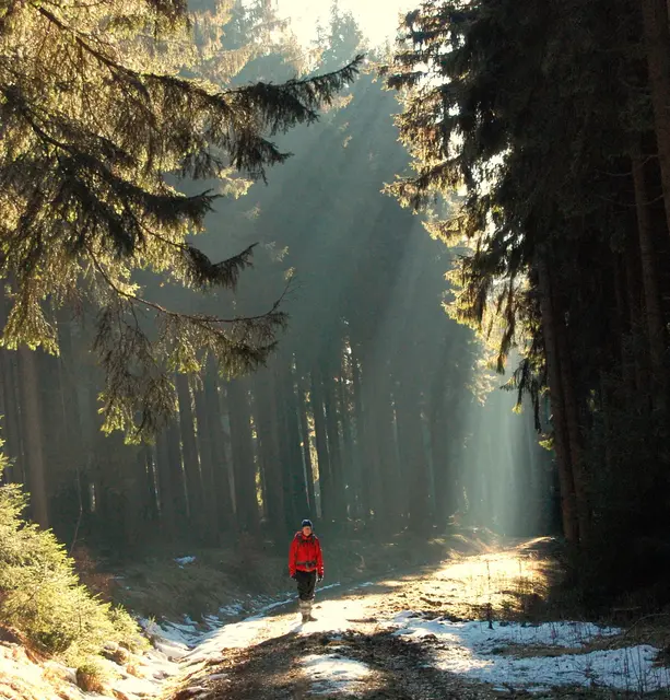 Zum Winteranfang steht die Sonne nur noch etwa 19 Grad über dem Horizont. Zum Sommeranfang waren es über 63 Grad. | Foto: Kurt Wolter
