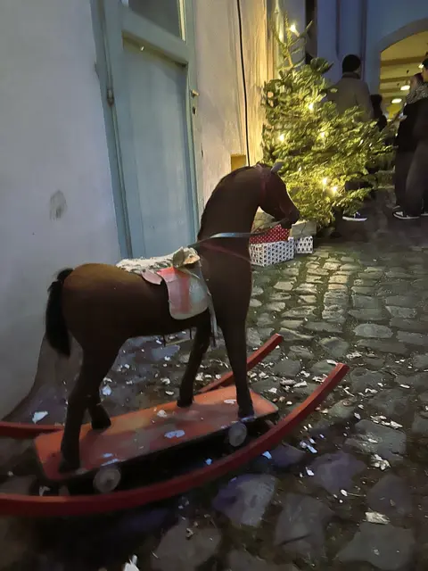 Das Pferdchen braucht m. E. dringend einen Gnadenhof bzw. Pflege. 