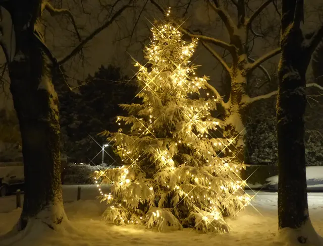 Auch der Lichterglanz hellt unsere Seele auf. | Foto: Christel Wolter