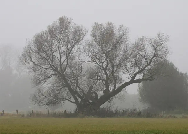 Und die Natur hat auch dann ihre Reize. | Foto: Kurt Wolter
