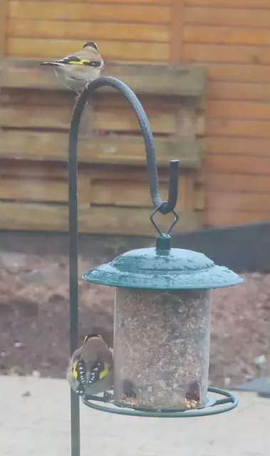 Aussschnitt aus dem Original-Foto. | Foto: M. A.