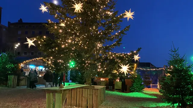 In der Mitte des Sternenwaldes ist der große Weihnachtsbaum stilvoll geschmückt. Foto: Helmut Kuzina