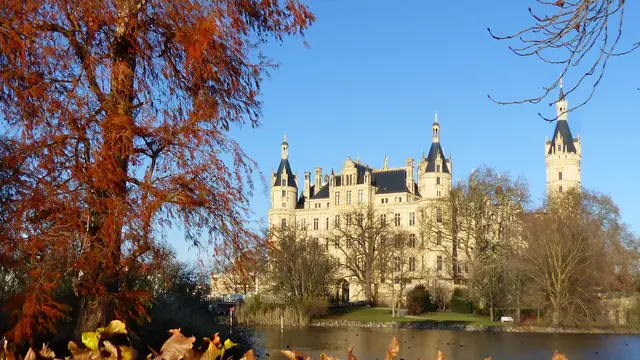 Im Schlossgarten zeigen Sumpfzypressen immer noch ihre fuchsrote bis dunkelbraune Färbung. Foto: Helmut Kuzina