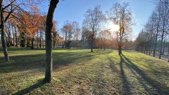 Der Schlossgarten im grellen Gegenlicht der Dezembersonne. Foto: Helmut Kuzina