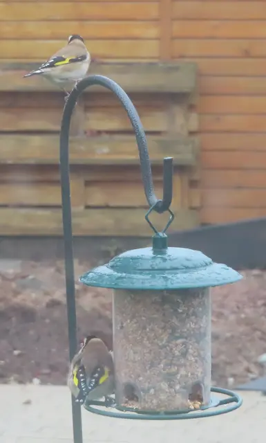 Aussschnitt aus dem Original-Foto. | Foto: M. A.